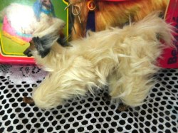 barbie beauty dog c